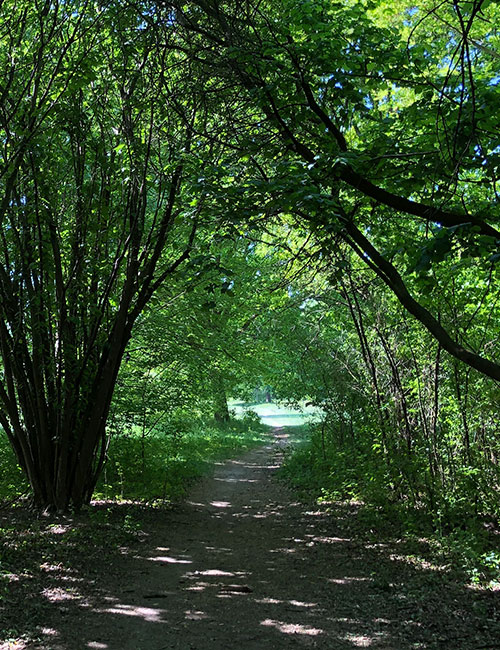 Trauerreden | Abschied nehmen