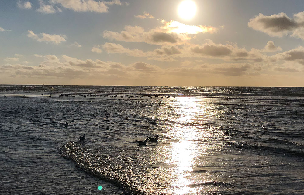 Trauerreden | Abschied nehmen