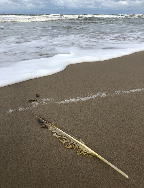 Trauerreden | Abschied nehmen