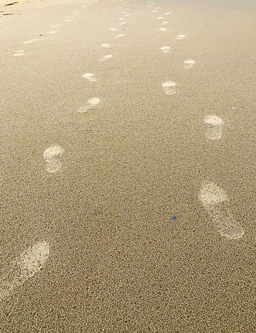 Trauerreden | Abschied nehmen